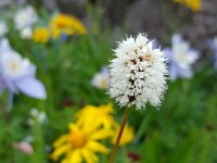 x20150731 100706 : 2015, Family, Jeeping, Mountains, Ouray, Vacation