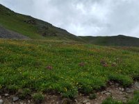 x20150801 111821 : 2015, Family, Jeeping, Mountains, Ouray, Vacation
