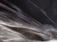 ChinamanGulchDamage-6228 : Damage, Jeep