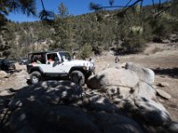 ChinamanGulch-5683 : Chinaman Gluch, Jeep