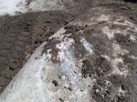 ChinamanGulch-5791 : Chinaman Gluch, Jeep