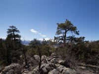 ChinamanGulch-6079 : Chinaman Gluch, Jeep