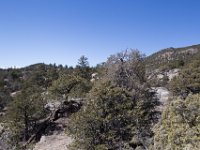 ChinamanGulch-6080 : Chinaman Gluch, Jeep