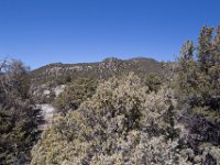 ChinamanGulch-6081 : Chinaman Gluch, Jeep