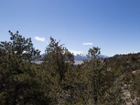 ChinamanGulch-6082 : Chinaman Gluch, Jeep