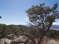 ChinamanGulch-6090 : Chinaman Gluch, Jeep