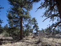 ChinamanGulch-6186 : Chinaman Gluch, Jeep