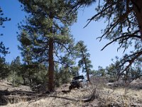 ChinamanGulch-6187 : Chinaman Gluch, Jeep