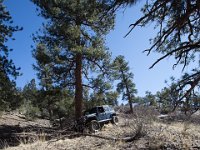 ChinamanGulch-6189 : Chinaman Gluch, Jeep