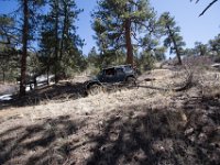 ChinamanGulch-6190 : Chinaman Gluch, Jeep