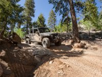 LongwaterHackette-4899 : Hackette, Jeep