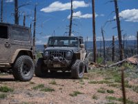 LongwaterHackette-7303 : Jeep, Longwater