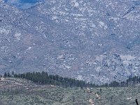 LongwaterHackette-7306 : Jeep, Longwater