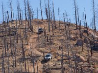 LongwaterOct-5659 : Jeep