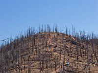 LongwaterOct-5663 : Jeep