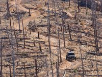 LongwaterOct-5671 : Jeep