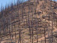 LongwaterOct-5673 : Jeep