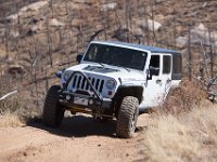 LongwaterOct-5683 : Jeep