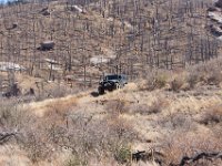 LongwaterOct-5687 : Jeep