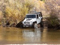 LongwaterOct-5696 : Jeep