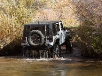 LongwaterOct-5732 : Jeep