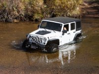 LongwaterOct-5742 : Jeep
