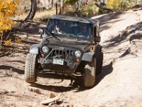 LongwaterOct-5758 : Jeep