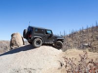 LongwaterOct-9056 : Jeep