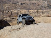 LongwaterOct-9061 : Jeep
