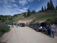 BlackBear-7492 : Ouray