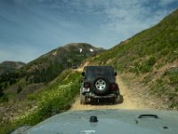 BlackBear-7493 : Ouray