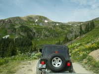 BlackBear-7494 : Ouray