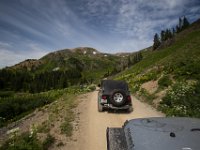 BlackBear-7495 : Ouray