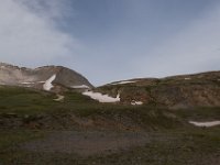 BlackBear-7497 : Ouray