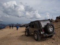 BlackBear-7509 : Ouray