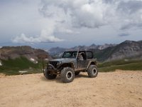 BlackBear-7516 : Ouray