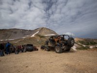BlackBear-7536 : Ouray