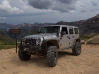 BlackBear-7544 : Ouray