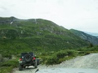 BlackBear-7569 : Ouray