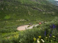 BlackBear-7574 : Ouray