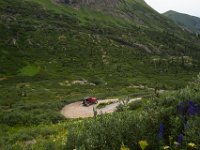 BlackBear-7576 : Ouray