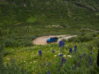 BlackBear-7585 : Ouray