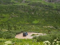 BlackBear-7586 : Ouray