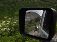 BlackBear-7589 : Ouray