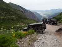 BlackBear-7595 : Ouray