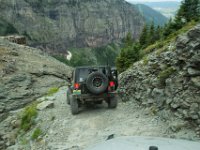 BlackBear-7610 : Ouray