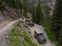 BlackBear-7641 : Ouray