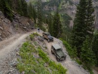 BlackBear-7642 : Ouray