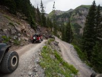 BlackBear-7644 : Ouray