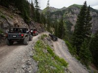 BlackBear-7647 : Ouray